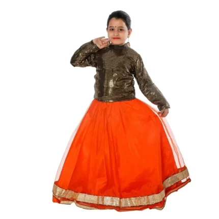 Indo Western Long Skirt Top Fancy Dress