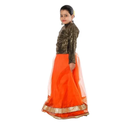 Indo Western Long Skirt Top Fancy Dress