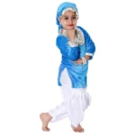 Kashmiri Dance Fancy Dress Costume