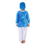Kashmiri Dance Fancy Dress Costume