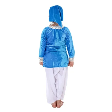 Kashmiri Dance Fancy Dress Costume