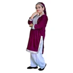 Kashmiri Dance Fancy Dress for Girls