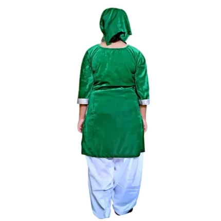 Kashmiri Dance Fancy Dress for Girls Green