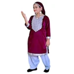 Kashmiri Dance Fancy Dress for Girls