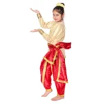 Kathak Dance Dress for Girls