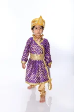 King Akbar Fancy Dress Costume