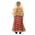 Lehenga Fancy Dress Costume for Girls