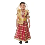 Lehenga Fancy Dress Costume for Girls