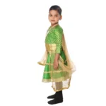 Lehenga Fancy Dress Costume for Girls