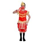 Lord Hanuman Fancy Dress Costume Red