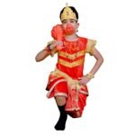 Lord Hanuman Fancy Dress Costume Red