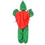 Lychee Fancy Dress Costume