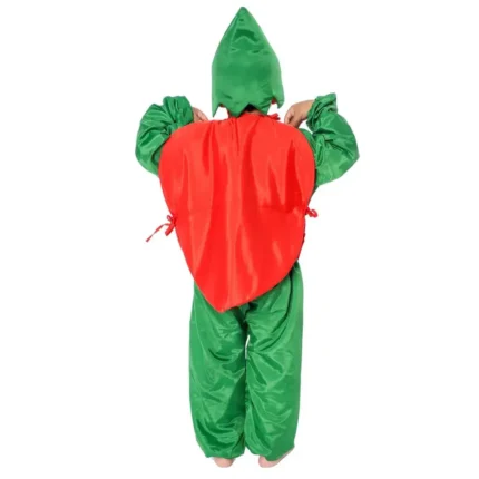 Lychee Fancy Dress Costume