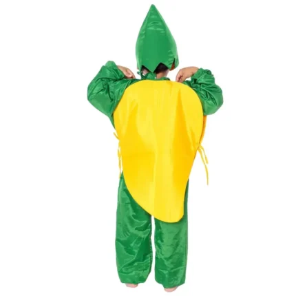 Mango Fancy Dress for Kids
