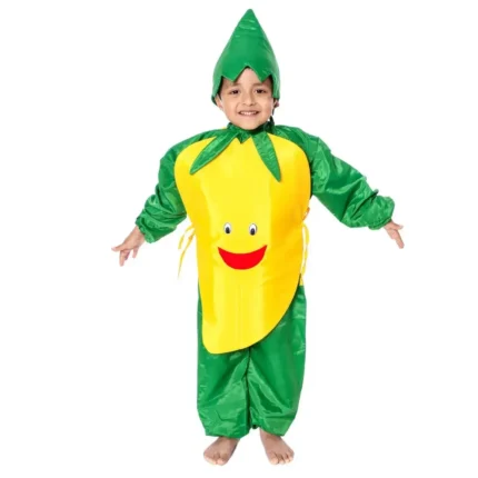 Mango Fancy Dress for Kids