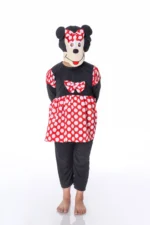 Mini Mouse Fancy Dress Costume