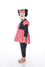 Mini Mouse Fancy Dress Costume