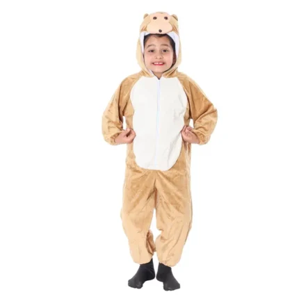 Monkey Animal Fancy Dress