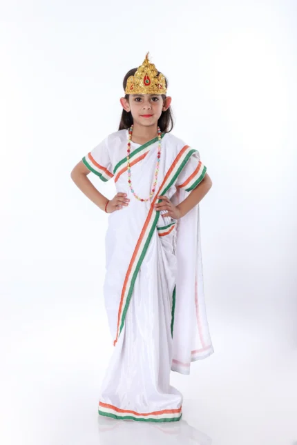 Mother India Saree Fancy Dress