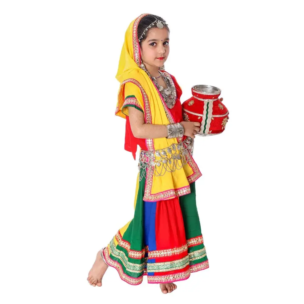 Multicolor Haryanvi Lehenga Choli Costume Front