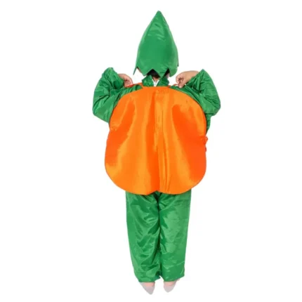 Orange Fancy Dress for Kids