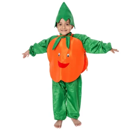 Orange Fancy Dress for Kids