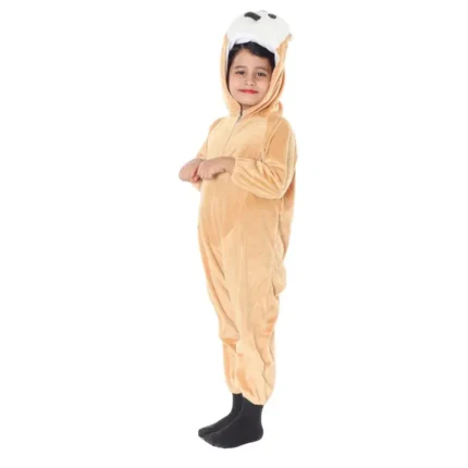 Owl Bird Fancy Dress Costume