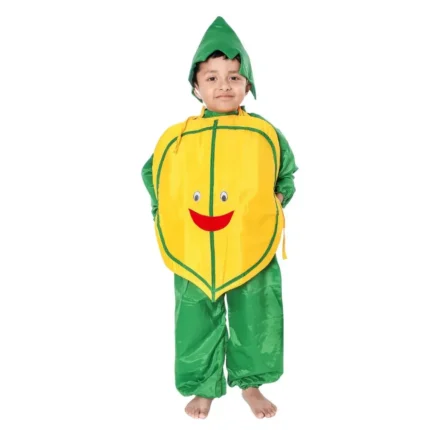 Papaya Fancy Dress Costumes