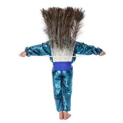 Peacock Bird Fancy Dress Costume