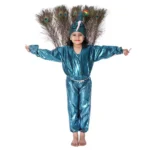 Peacock Bird Fancy Dress Costume