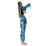 Peacock Bird Fancy Dress Costume