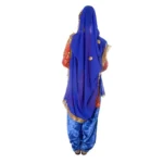 Punjabi Folk Dance Fancy Dress Costume