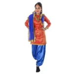 Punjabi Folk Dance Fancy Dress Costume
