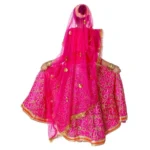 Rani Sita Fancy Dress Costume For Ramleela