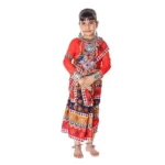 Sambalpuri Dance Fancy Dress Costume