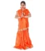 Sita Saree Fancy Dress Costume