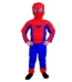 Spiderman Fancy Dress Costume For Boys