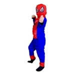 Spiderman Fancy Dress Costume For Boys