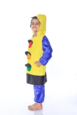 Traffic Light Fancy Dress Costume