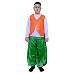 Tricolor Fancy Dress Costume for Boys