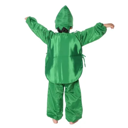 Watermelon Fancy Dress Costume
