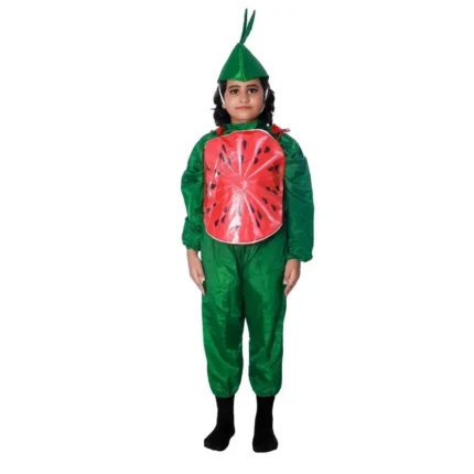 Watermelon Fancy Dress Costume For Kids