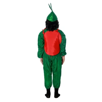 Watermelon Fancy Dress Costume For Kids
