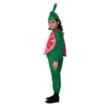Watermelon Fancy Dress Costume For Kids