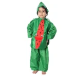 Watermelon Fancy Dress Costume