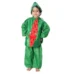 Watermelon Fancy Dress Costume