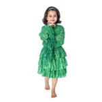 Western Dance Fancy Dress Costume Green