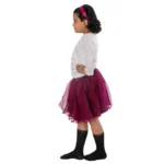 Western Dance Fancy Dress Costume Skirt & Top