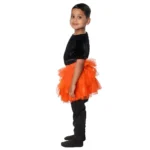 Western Dance Skirt Top Fancy Dress Costume