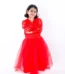 Western Frock Fancy Dress Costume Red